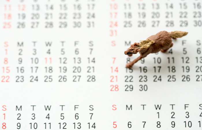 歯周病の予防法_歯科医院での定期メンテナンス